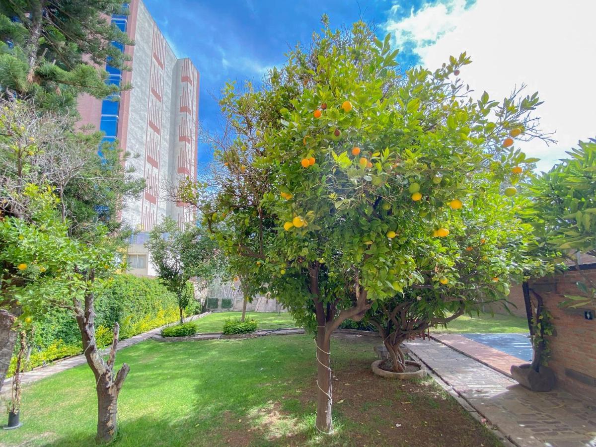 Azabu Hotel Collection Сан-Луїс-Потосі Екстер'єр фото